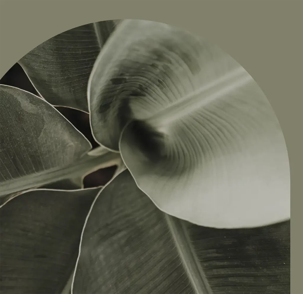 Eco-friendly design and sustainability at The Source at Saadiyat Grove